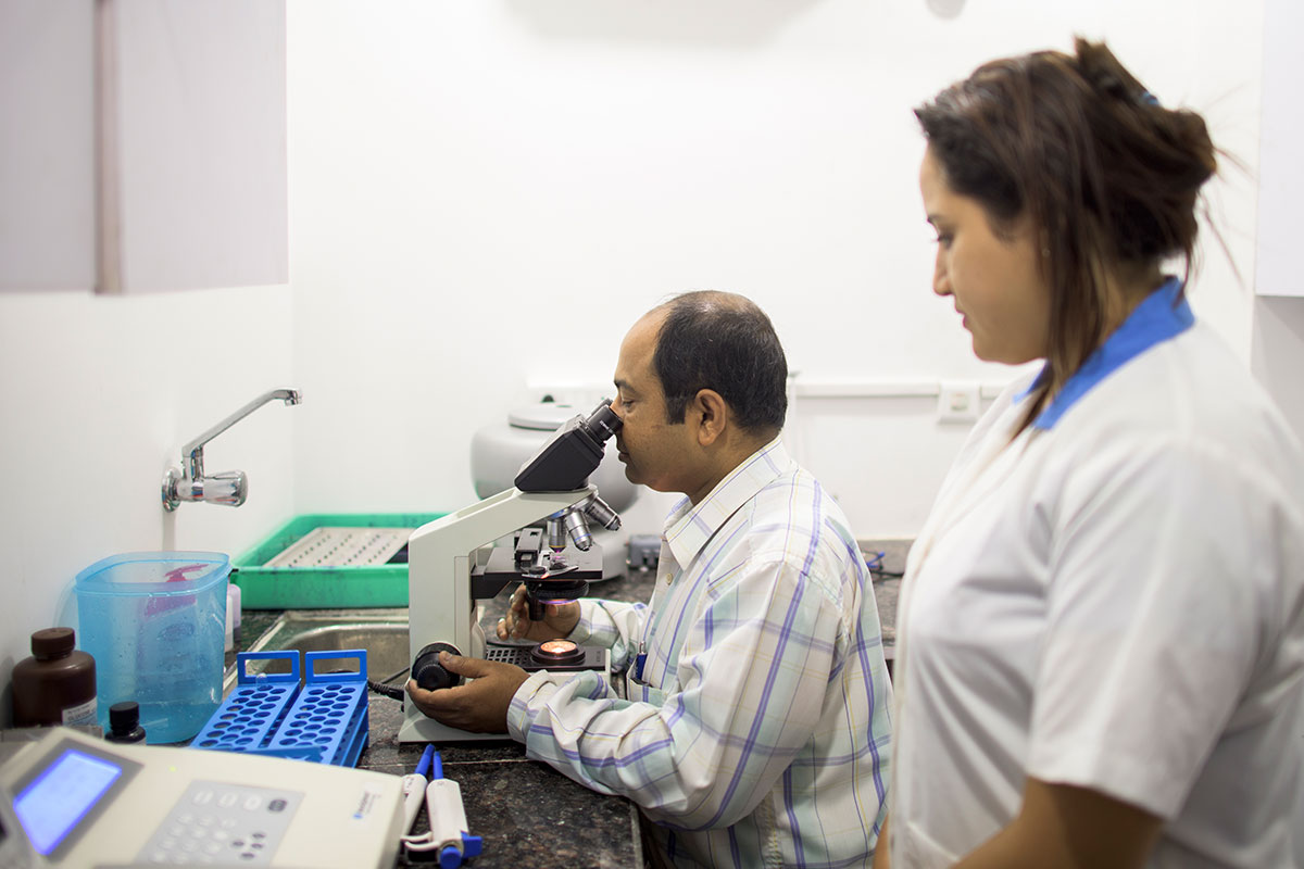 Other Ancillary Services